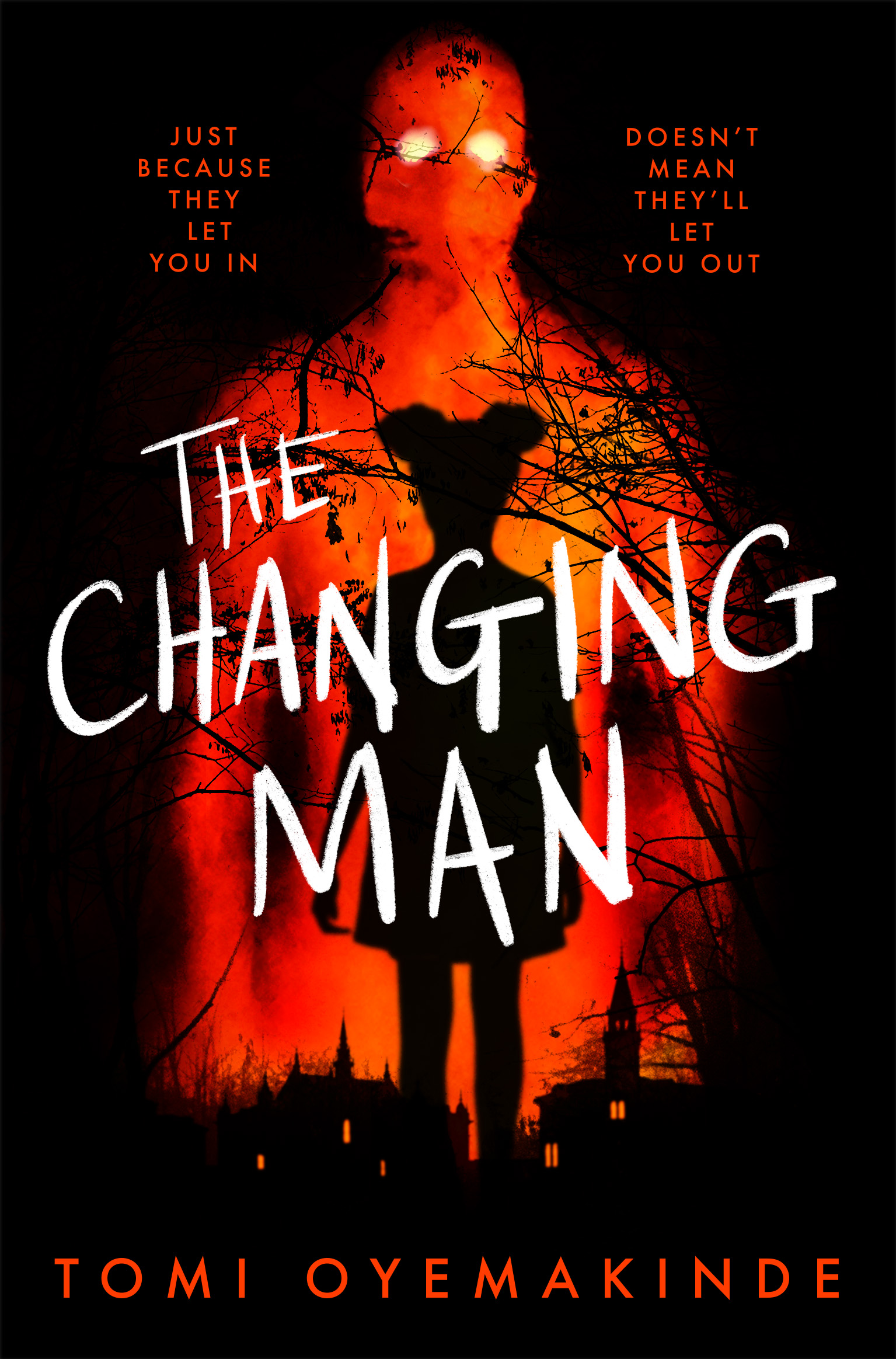 The Changing Man by Tomi Oyemakinde